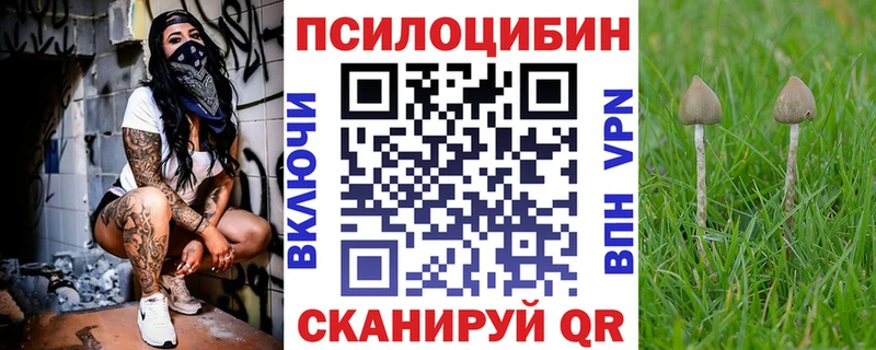 Псилоцибиновые грибы мицелий  Воркута 